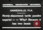Immagine di Due tartaruga con testa Gainesville Florida USA, 1931, secondo 9 filmato di repertorio 65675023611