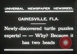 Immagine di Due tartaruga con testa Gainesville Florida USA, 1931, secondo 10 filmato di repertorio 65675023611