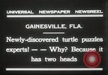 Immagine di Due tartaruga con testa Gainesville Florida USA, 1931, secondo 11 filmato di repertorio 65675023611