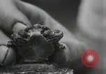Immagine di Due tartaruga con testa Gainesville Florida USA, 1931, secondo 21 filmato di repertorio 65675023611