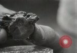 Immagine di Due tartaruga con testa Gainesville Florida USA, 1931, secondo 25 filmato di repertorio 65675023611