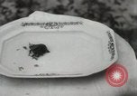Immagine di Due tartaruga con testa Gainesville Florida USA, 1931, secondo 31 filmato di repertorio 65675023611