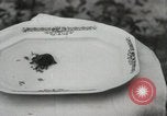 Immagine di Due tartaruga con testa Gainesville Florida USA, 1931, secondo 32 filmato di repertorio 65675023611