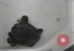 Immagine di Due tartaruga con testa Gainesville Florida USA, 1931, secondo 38 filmato di repertorio 65675023611
