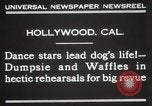 Immagine di Cani eseguire nella Revue Hollywood California USA, 1931, secondo 5 filmato di repertorio 65675023622