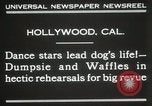 Immagine di Cani eseguire nella Revue Hollywood California USA, 1931, secondo 6 filmato di repertorio 65675023622