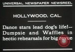 Immagine di Cani eseguire nella Revue Hollywood California USA, 1931, secondo 7 filmato di repertorio 65675023622