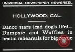 Immagine di Cani eseguire nella Revue Hollywood California USA, 1931, secondo 8 filmato di repertorio 65675023622