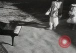 Immagine di Cani eseguire nella Revue Hollywood California USA, 1931, secondo 11 filmato di repertorio 65675023622