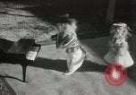 Immagine di Cani eseguire nella Revue Hollywood California USA, 1931, secondo 12 filmato di repertorio 65675023622