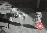Immagine di Cani eseguire nella Revue Hollywood California USA, 1931, secondo 14 filmato di repertorio 65675023622