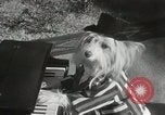 Immagine di Cani eseguire nella Revue Hollywood California USA, 1931, secondo 19 filmato di repertorio 65675023622