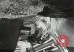 Immagine di Cani eseguire nella Revue Hollywood California USA, 1931, secondo 20 filmato di repertorio 65675023622