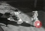 Immagine di Cani eseguire nella Revue Hollywood California USA, 1931, secondo 22 filmato di repertorio 65675023622