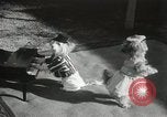 Immagine di Cani eseguire nella Revue Hollywood California USA, 1931, secondo 23 filmato di repertorio 65675023622