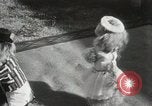 Immagine di Cani eseguire nella Revue Hollywood California USA, 1931, secondo 26 filmato di repertorio 65675023622