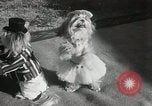 Immagine di Cani eseguire nella Revue Hollywood California USA, 1931, secondo 33 filmato di repertorio 65675023622