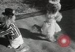 Immagine di Cani eseguire nella Revue Hollywood California USA, 1931, secondo 36 filmato di repertorio 65675023622