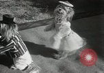 Immagine di Cani eseguire nella Revue Hollywood California USA, 1931, secondo 37 filmato di repertorio 65675023622