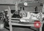 Immagine di Cani eseguire nella Revue Hollywood California USA, 1931, secondo 39 filmato di repertorio 65675023622