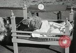 Immagine di Cani eseguire nella Revue Hollywood California USA, 1931, secondo 42 filmato di repertorio 65675023622