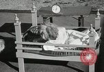 Immagine di Cani eseguire nella Revue Hollywood California USA, 1931, secondo 43 filmato di repertorio 65675023622