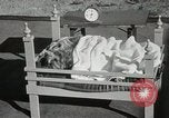 Immagine di Cani eseguire nella Revue Hollywood California USA, 1931, secondo 51 filmato di repertorio 65675023622