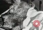 Immagine di Cani eseguire nella Revue Hollywood California USA, 1931, secondo 56 filmato di repertorio 65675023622