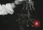 Standbild Bildhauer emulieren Cellini Miami Florida USA, 1931, aus Sekunde 26 historischem Filmmaterial Videoclip 65675023631