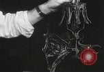 Standbild Bildhauer emulieren Cellini Miami Florida USA, 1931, aus Sekunde 29 historischem Filmmaterial Videoclip 65675023631