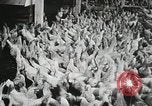 Standbild Szenen der Geflügelfarm Berlin Deutschland, 1931, aus Sekunde 11 historischem Filmmaterial Videoclip 65675023633