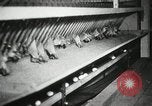 Standbild Szenen der Geflügelfarm Berlin Deutschland, 1931, aus Sekunde 14 historischem Filmmaterial Videoclip 65675023633
