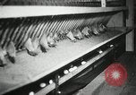 Standbild Szenen der Geflügelfarm Berlin Deutschland, 1931, aus Sekunde 15 historischem Filmmaterial Videoclip 65675023633