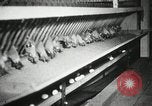 Standbild Szenen der Geflügelfarm Berlin Deutschland, 1931, aus Sekunde 16 historischem Filmmaterial Videoclip 65675023633