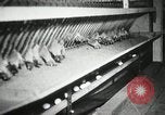 Standbild Szenen der Geflügelfarm Berlin Deutschland, 1931, aus Sekunde 17 historischem Filmmaterial Videoclip 65675023633