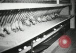 Standbild Szenen der Geflügelfarm Berlin Deutschland, 1931, aus Sekunde 18 historischem Filmmaterial Videoclip 65675023633