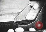 Standbild Szenen der Geflügelfarm Berlin Deutschland, 1931, aus Sekunde 23 historischem Filmmaterial Videoclip 65675023633