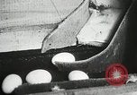 Standbild Szenen der Geflügelfarm Berlin Deutschland, 1931, aus Sekunde 24 historischem Filmmaterial Videoclip 65675023633