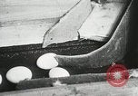 Standbild Szenen der Geflügelfarm Berlin Deutschland, 1931, aus Sekunde 25 historischem Filmmaterial Videoclip 65675023633