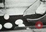 Standbild Szenen der Geflügelfarm Berlin Deutschland, 1931, aus Sekunde 26 historischem Filmmaterial Videoclip 65675023633