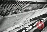 Standbild Szenen der Geflügelfarm Berlin Deutschland, 1931, aus Sekunde 28 historischem Filmmaterial Videoclip 65675023633