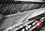 Standbild Szenen der Geflügelfarm Berlin Deutschland, 1931, aus Sekunde 29 historischem Filmmaterial Videoclip 65675023633