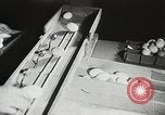 Standbild Szenen der Geflügelfarm Berlin Deutschland, 1931, aus Sekunde 31 historischem Filmmaterial Videoclip 65675023633