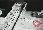 Standbild Szenen der Geflügelfarm Berlin Deutschland, 1931, aus Sekunde 32 historischem Filmmaterial Videoclip 65675023633