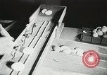 Standbild Szenen der Geflügelfarm Berlin Deutschland, 1931, aus Sekunde 34 historischem Filmmaterial Videoclip 65675023633
