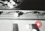 Standbild Szenen der Geflügelfarm Berlin Deutschland, 1931, aus Sekunde 37 historischem Filmmaterial Videoclip 65675023633
