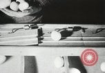 Standbild Szenen der Geflügelfarm Berlin Deutschland, 1931, aus Sekunde 38 historischem Filmmaterial Videoclip 65675023633