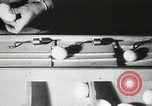Standbild Szenen der Geflügelfarm Berlin Deutschland, 1931, aus Sekunde 42 historischem Filmmaterial Videoclip 65675023633