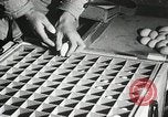 Standbild Szenen der Geflügelfarm Berlin Deutschland, 1931, aus Sekunde 50 historischem Filmmaterial Videoclip 65675023633