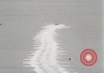 Image of Gar Wood speedboat record Miami Beach Florida USA, 1931, second 20 stock footage video 65675023634